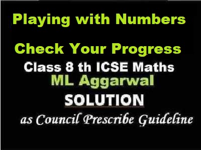 ML Aggarwal Playing with Numbers Check Your Progress