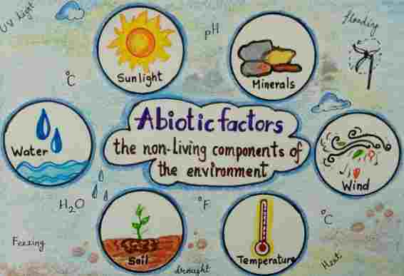 Abiotic Components ICSE Class-8th Goyal Brothers Biology Solutions