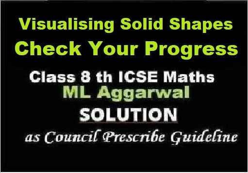 ML Aggarwal Visualising Solid Shapes Check Your Progress Class 8 ICSE Ch-17 Maths Solutions