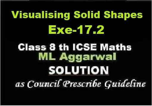ML Aggarwal Visualising Solid Shapes Exe-17.2 Class 8 ICSE Ch-17 Maths Solutions