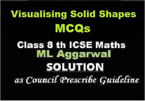 ML Aggarwal Visualising Solid Shapes MCQs Class 8 ICSE Ch-17 Maths Solutions