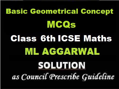 ML Aggarwal Basic Geometrical Concept MCQs Class 6 ICSE Maths