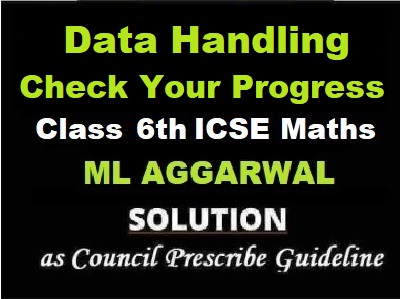 ML Aggarwal Data Handling Check Your Progress Class 6 ICSE Maths Solutions