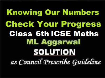 ML Aggarwal Knowing Our Numbers Check Your Progress Class 6 ICSE Maths Solutions