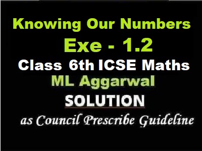 ML Aggarwal Knowing Our Numbers Exe-1.2 Class 6 ICSE Maths Solutions