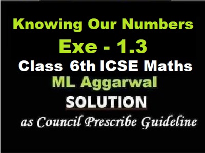 ML Aggarwal Knowing Our Numbers Exe-1.3 Class 6 ICSE Maths Solutions