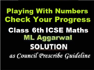 ML Aggarwal Playing With Numbers Check Your Progress Class 6 ICSE Maths Solutions