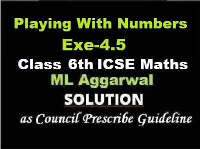 ML Aggarwal Playing With Numbers Exe-4.5 Class 6 ICSE Maths Solutions