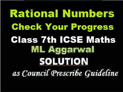 ML Aggarwal Rational Numbers Check Your Progress Class 7 ICSE Maths Solutions