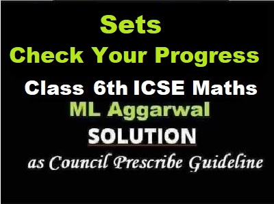 ML Aggarwal Sets Check Your Progress Class 6 ICSE Maths Solutions