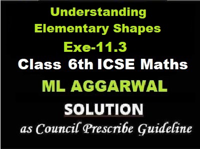 ML Aggarwal Understanding Elementary Shapes Exe-11.3 Class 6 ICSE Maths Solutions Questions as council prescribe guideline for next exam.