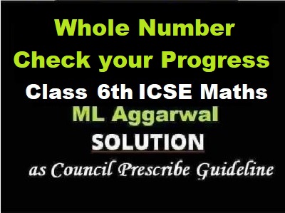 ML Aggarwal Whole Number Check Your Progress Class 6 ICSE Maths Solutions