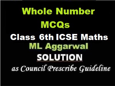 ML Aggarwal Whole Number MCQs Class 6 ICSE Maths Solutions
