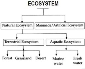 Types of Ecosystem
