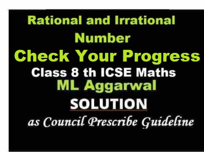 ML Aggarwal Rational and Irrational Number Check Your Progress Class 8 ICSE Maths Solutions