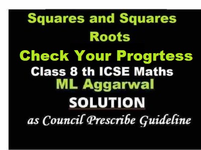 ML Aggarwal Squares and Squares Roots Check Your Progress Class 8 ICSE Ch-3 Maths Solutions