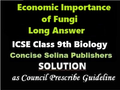 Economic Importance of Fungi Long Answer Biology Class-9 ICSE Selina Publishers Part B