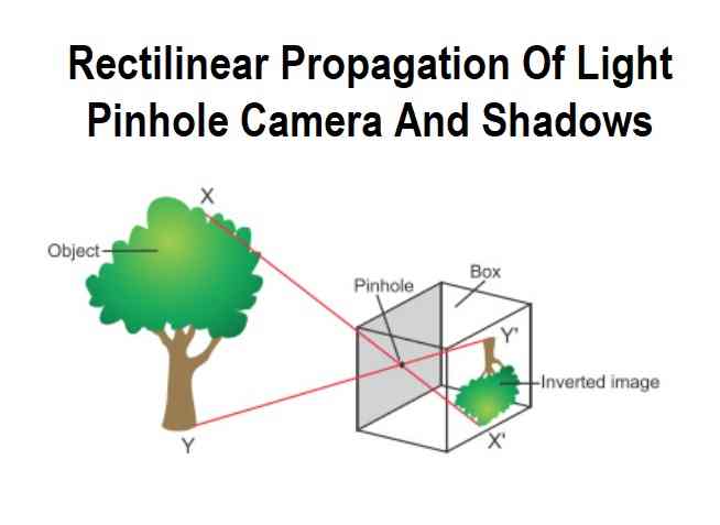 Rectilinear Propagation Of Light ICSE Class-6th Goyal Brothers Physics ...