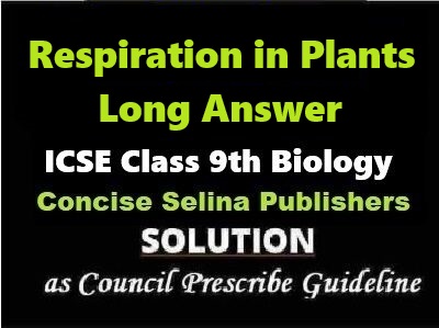 Respiration in Plants Long Answer Biology Class-9 ICSE Selina Publishers