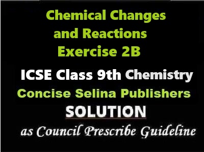 Chemical Changes and Reactions Exe-2B Chemistry Class-9 ICSE Selina Publishers
