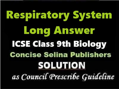 Respiratory System Long Answer Biology Class-9 ICSE Selina Publishers