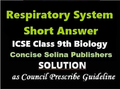 Respiratory System Short Answer Biology Class-9 ICSE Selina Publishers