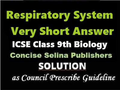 Respiratory System Very Short Answer Biology Class-9 ICSE Selina Publishers