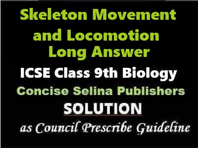 Skeleton Movement and Locomotion Long Answer Biology Class-9 ICSE Selina Publishers