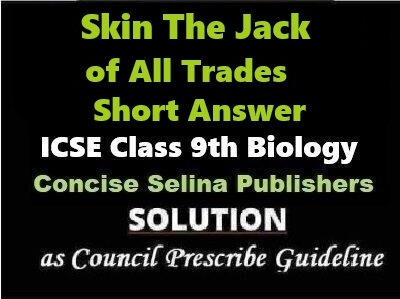 Skin The Jack of All Trades Short Answer Biology Class-9 ICSE Selina Publishers