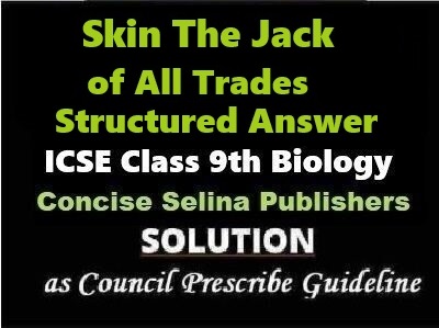 Skin The Jack of All Trades Structured Answer Biology Class-9 ICSE Selina Publishers