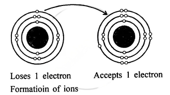 Atomic Structure Class-8 Dalal Simplified ICSE Chemistry Solutions ...