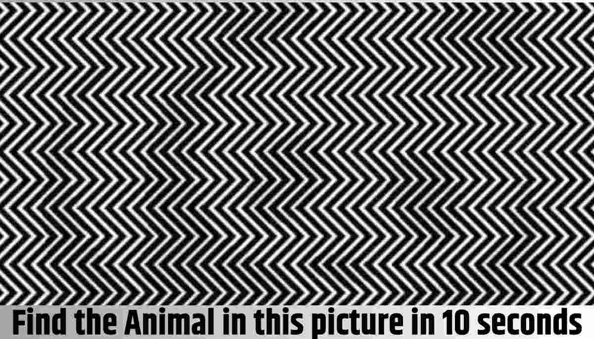 IQ Test Optical Illusion: People With Higher IQ Can See The Animal ...