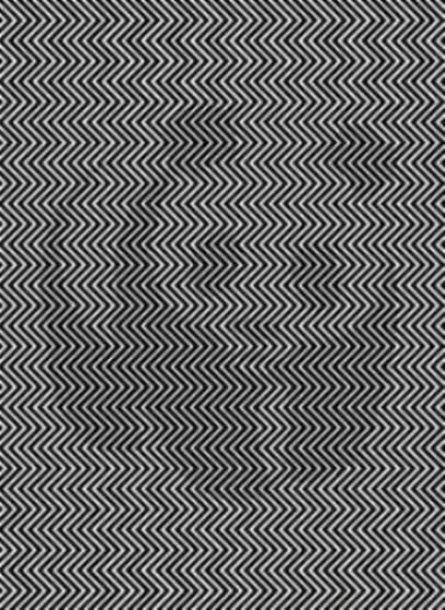 IQ Test Optical Illusion: People with higher IQ can see the animal hidden in this zig zag