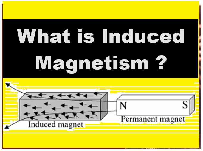 Magnetism Exe-10A Very Short Ans Concise Physics ICSE Class 9
