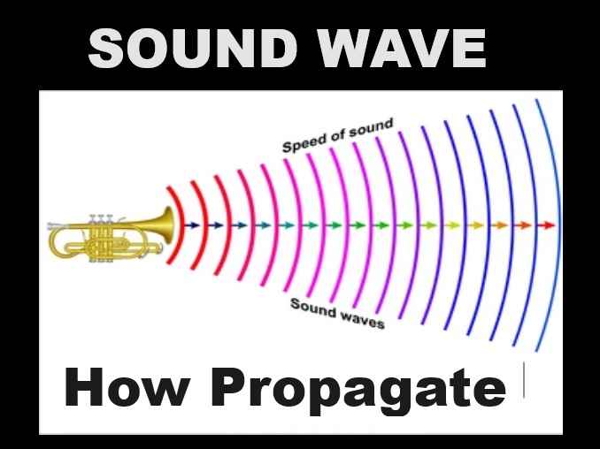 Propagation Of Sound Waves Exe-8A Very Short Ans Concise Physics ICSE ...