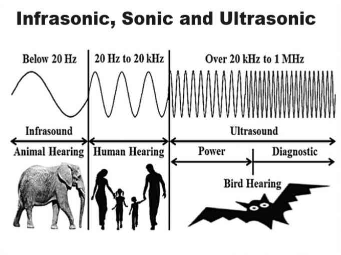 Propagation of Sound Waves Exe-8B Very Short Ans Concise Physics ICSE ...