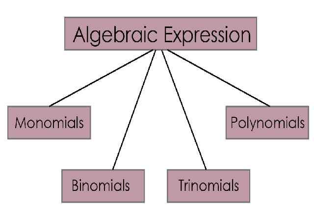 Fundamental Concepts of Algebra Class 6 RS Aggarwal Exe-12B Goyal Brothers ICSE Maths Solutions