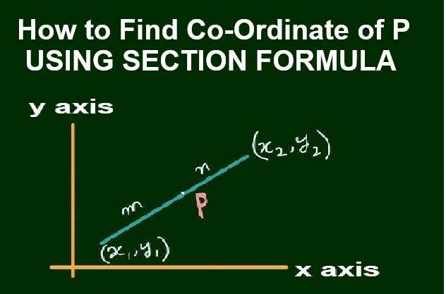 Section and Mid-Point Formulae Class 10 RS Aggarwal Exe-13 Goyal Brothers ICSE Maths Solutions