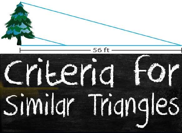 Similar Triangles Class 10 OP Malhotra Exe-12B ICSE Maths Solutions