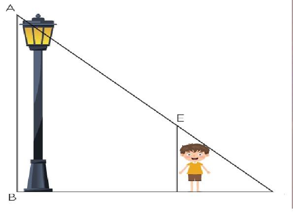 Similar Triangles Class 10 OP Malhotra Exe-12C ICSE Maths Solutions