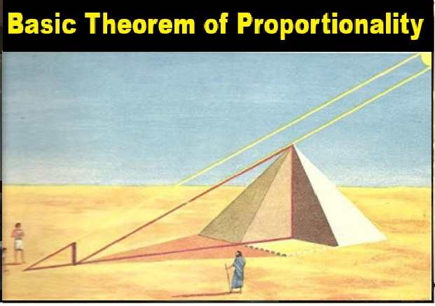 Similar Triangles Class 10 OP Malhotra Exe-12D ICSE Maths Solutions