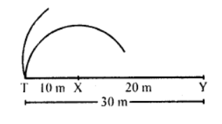 (b) If the tree is 30 m from Y and 10 m from X, then tree and points X and Y will be in the same line There will be no point which is 18 m from the tree and equidistant from X and Y. 