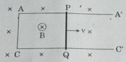 A conducting rod PQ of length 20 cm and resistance 0.1 Ω rests on two smooth parallel rails AA' and CC' of negligible resistance