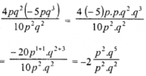 (v) {4pq²(−5pq³)}/10p²q²