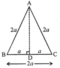 Que-2: In the figure, AB = BC = CA = 2a and segment AD ⊥ side BC. Draw that (i) AD = a√3 (ii) area of ∆ABC = a²√3