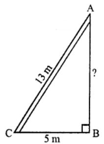 Que-7: A ladder 13 m long rests against a vertical wall. If the foot of the ladder is 5 m from the foot of the wall, find the distance of the other end of the ladder from ground.