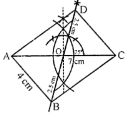 Que-9: Using ruler and compasses only, draw a parallelogram whose diagonals are 5 cm and 7 cm long and which cut each other, so that one pair of the vertically opposite angles are each equal to 75°. Measure the length of the shorter side. State your steps of construction briefly.