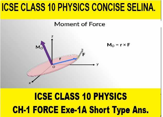Type Que Class 10 ICSE Selina Solutions
