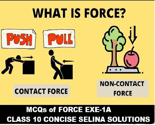 Force Exe-1A MCQs Concise Class 10 ICSE Selina Solutions