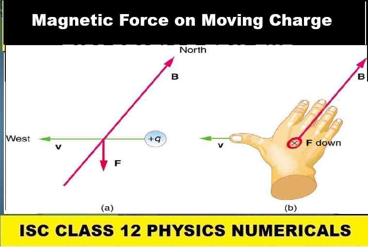 Magnetic Force on Moving Charge Numerical Class-12 Nootan ISC Physics Solution Ch-7 Moving Charges and Magnetic Field
